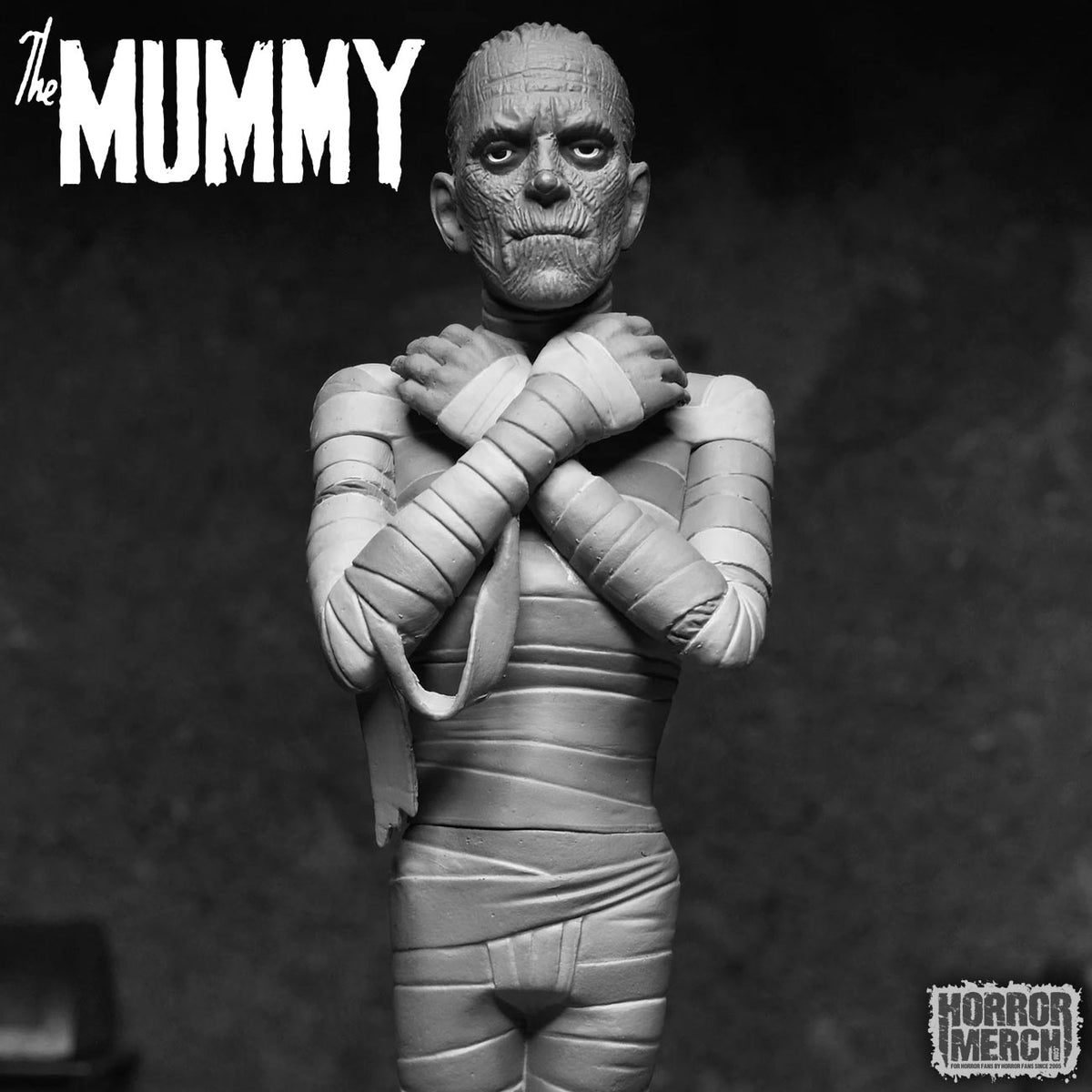 Mummy - (BW) Toony Terrors Figure