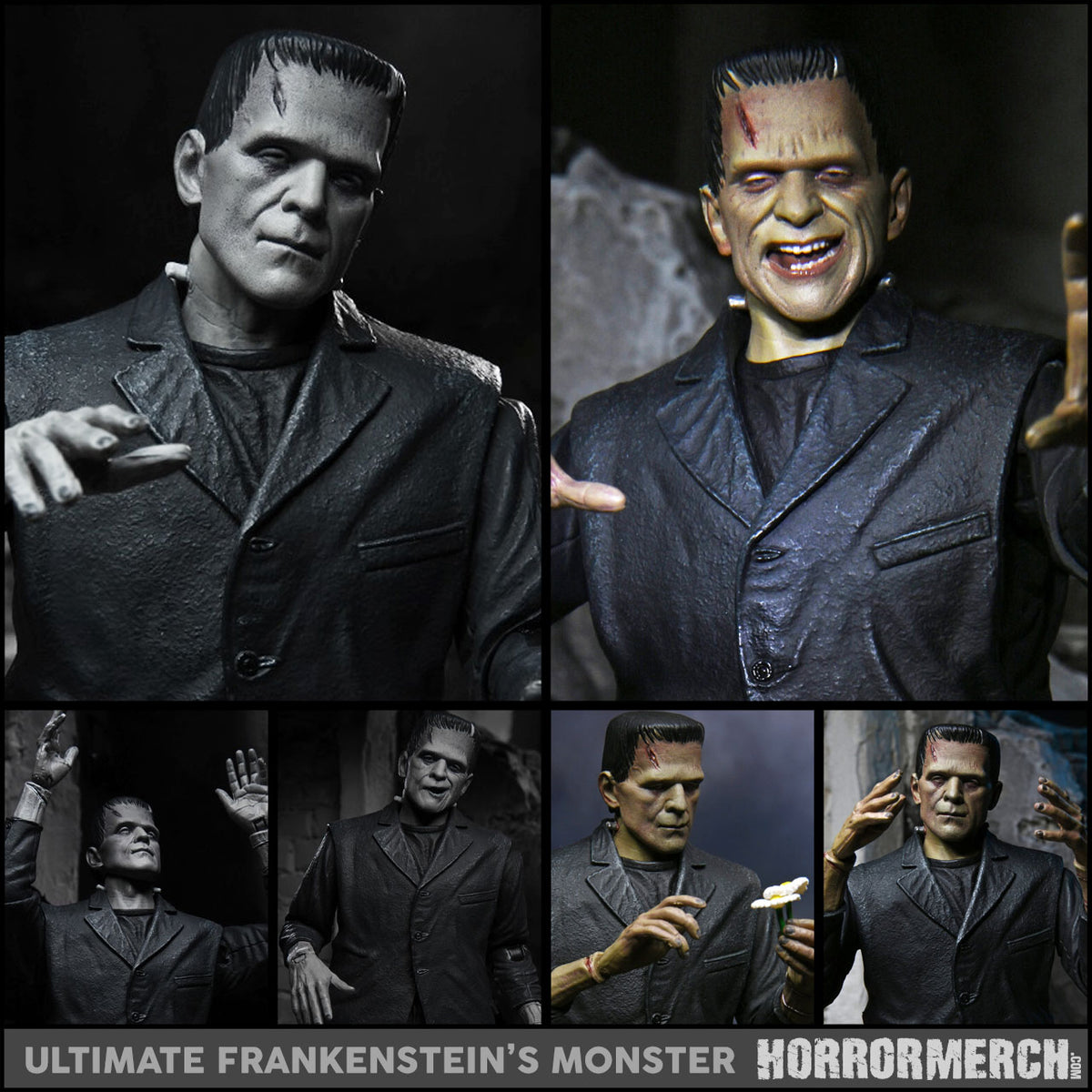 Frankenstein - Ultimate Frankenstein Figure