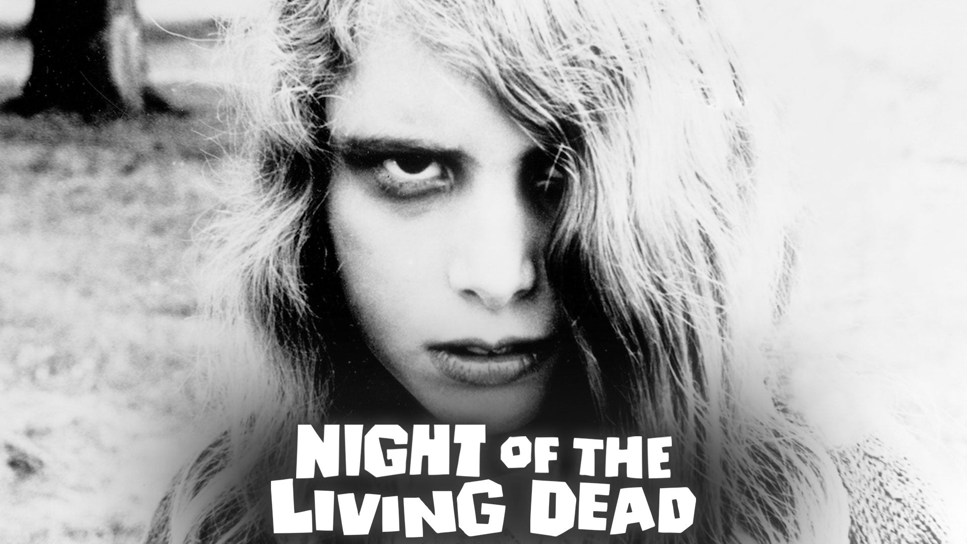 Night Of The Living Dead
